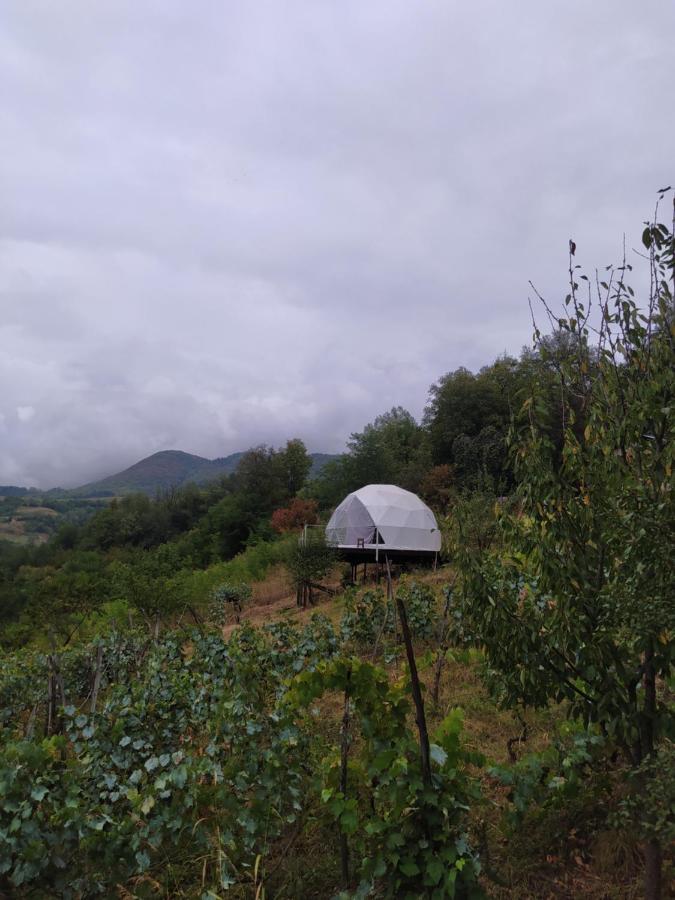4 Seasons. 4 სეზონი Glamping Georgia Racha Апартаменты Амбролаури