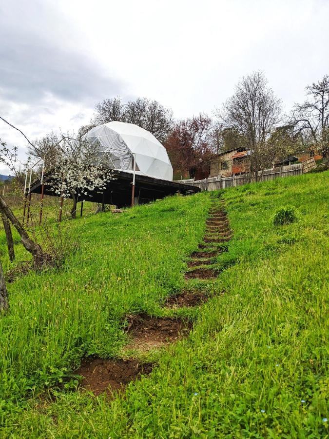 4 Seasons. 4 სეზონი Glamping Georgia Racha Апартаменты *